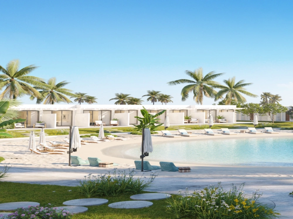 دي باي gallery image